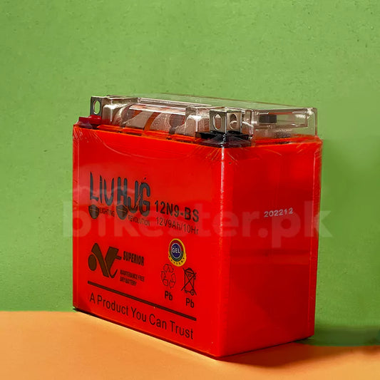 HJG 12V 9A Dry Battery