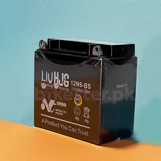 HJG 12V 9A Dry Battery